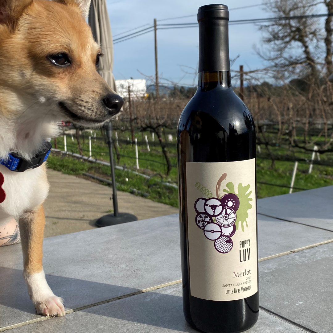 bottle of Puppy LUV Merlot with little tiny tan puppy