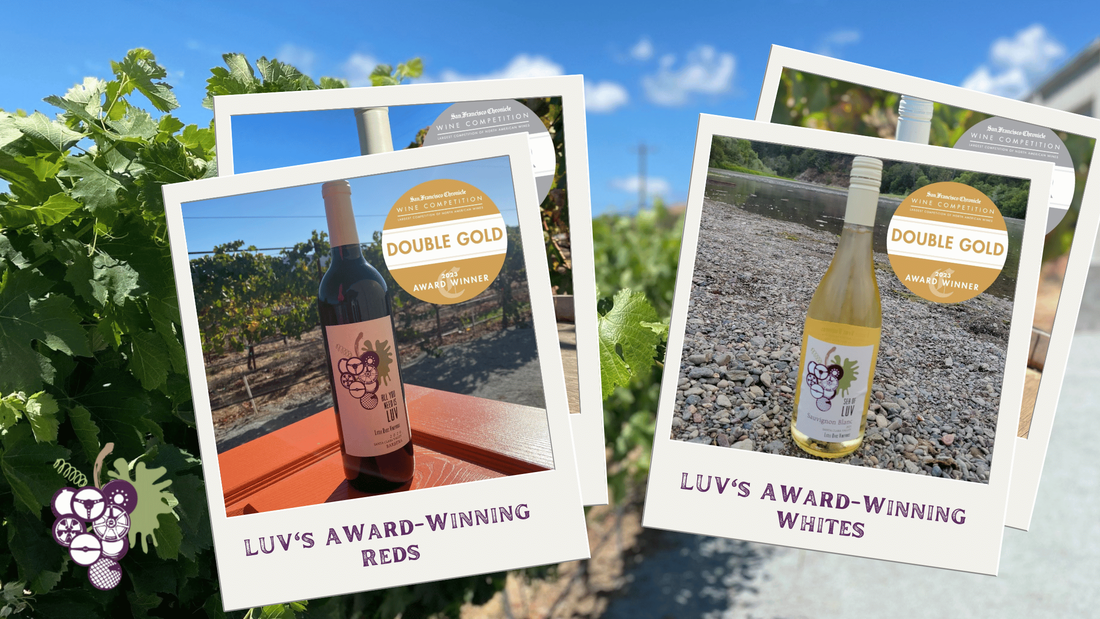 composit image of grape vines at LUV with inset images of Barbera and Sauvignon Blanc bottles and award badges